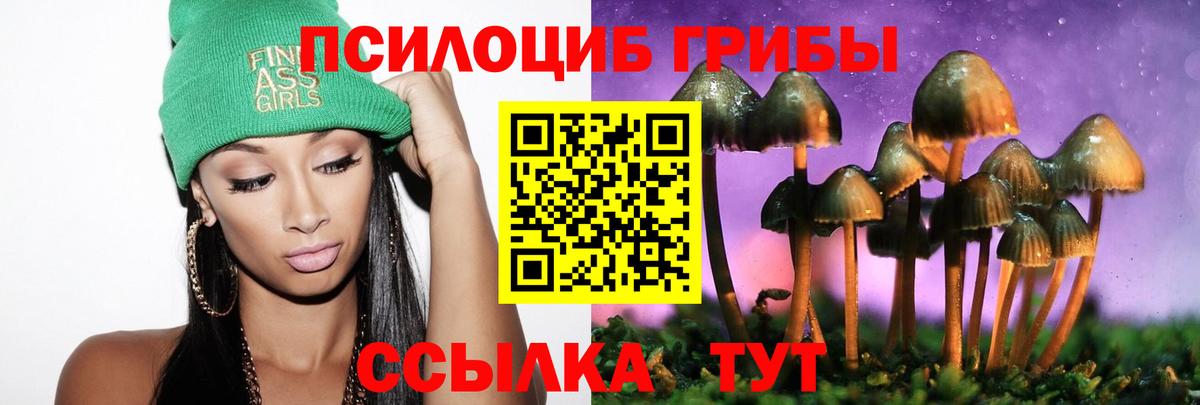 Камышлов  Галлюциногенные грибы Psilocybe  Вход с VPN  Псилоцибиновые грибы прущие грибы 